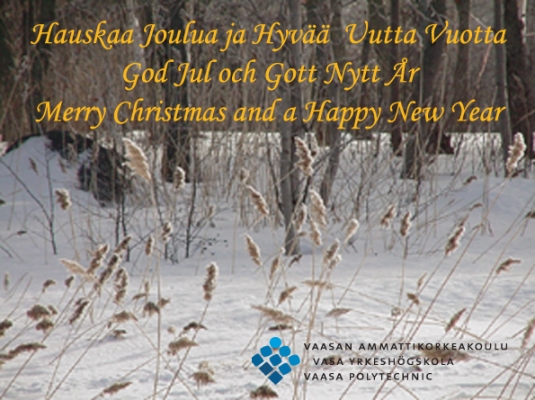 Hauskaa Joulua ja Hyvää Uutta Vuotta 
God Jul och Gott Nytt År
Merry Christmas and a Happy New Year