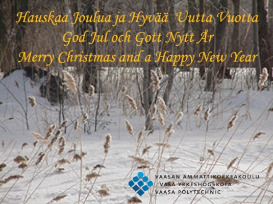Hauskaa Joulua ja Hyvää Uutta Vuotta 
God Jul och Gott Nytt År
Merry Christmas and a Happy New Year