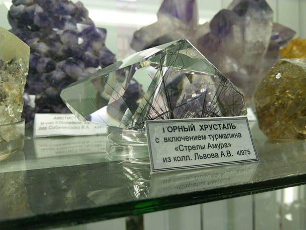 7_museo_kivi.jpg 7_museo_kivi.jpg