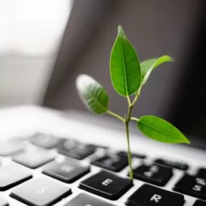 Laptop keyboard with plant growing on it. green it computing concept. carbon efficient technology. digital sustainability
