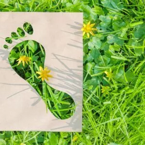 Human impact on nature, ecology, protection of natural environment, earth day concept. ecological footprint made of recyclable paper over green grass.