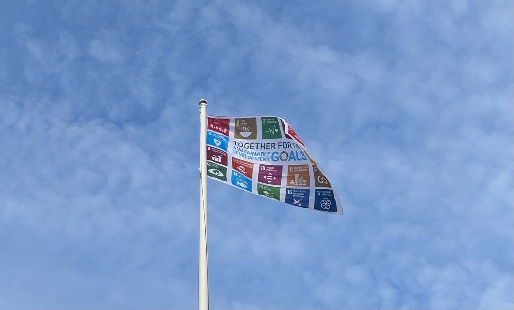 Long-term practical work towards sustainability and sustainable development goals