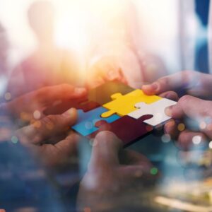 Adobestock 229266740