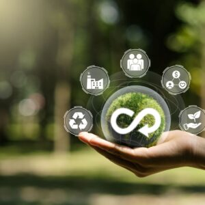 Adobestock 539422485