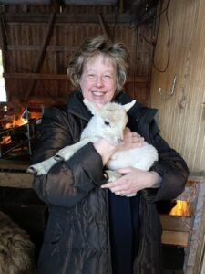 Korkeakoulupappi kuva